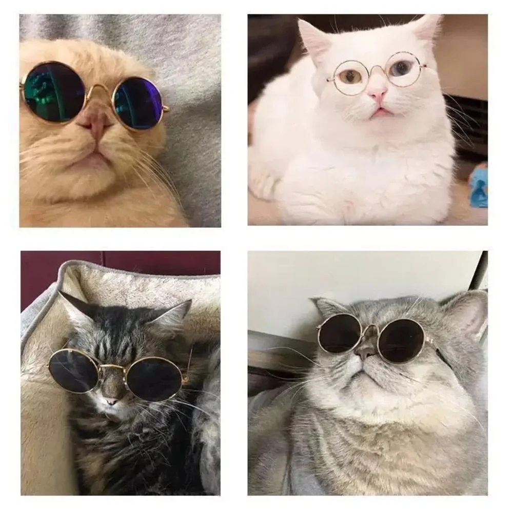 1 Pair Tinted Lens Pet Glasses - Black | Small Dogs | Cats